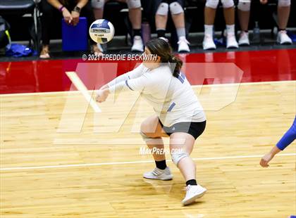 Thumbnail 1 in Fayetteville vs. Sulphur Bluff (UIL Volleyball 1A Semi-Finals) photogallery.