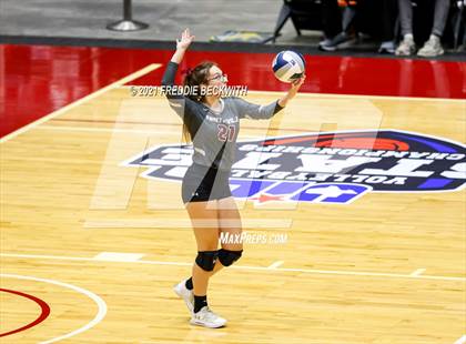 Thumbnail 1 in Fayetteville vs. Sulphur Bluff (UIL Volleyball 1A Semi-Finals) photogallery.
