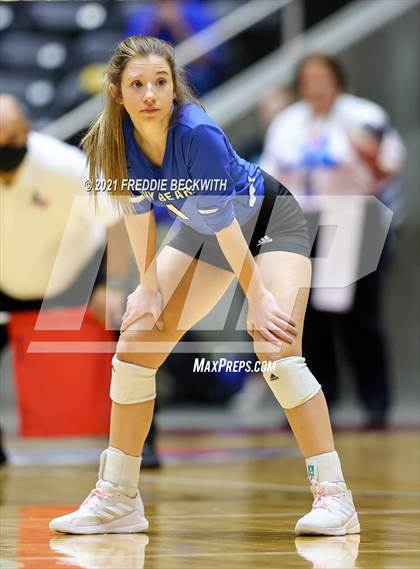 Thumbnail 1 in Fayetteville vs. Sulphur Bluff (UIL Volleyball 1A Semi-Finals) photogallery.