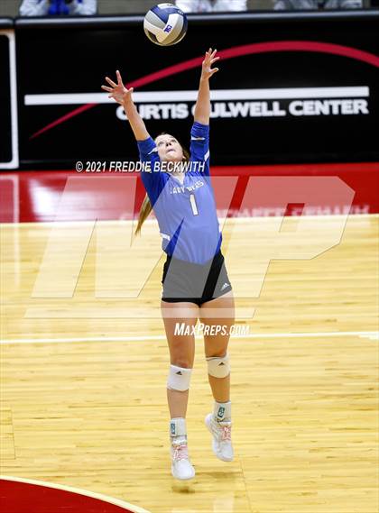 Thumbnail 2 in Fayetteville vs. Sulphur Bluff (UIL Volleyball 1A Semi-Finals) photogallery.