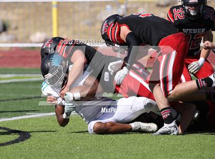 Thumbnail 2 in Farmington @ Weber photogallery.