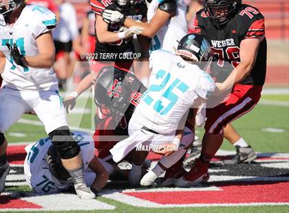 Thumbnail 3 in Farmington @ Weber photogallery.