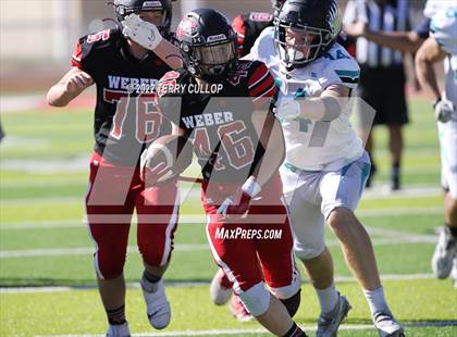 Thumbnail 3 in Farmington @ Weber photogallery.