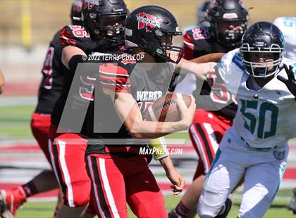 Thumbnail 1 in Farmington @ Weber photogallery.
