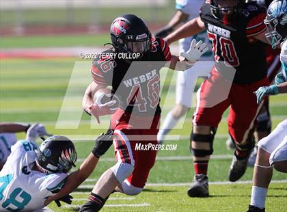 Thumbnail 3 in Farmington @ Weber photogallery.