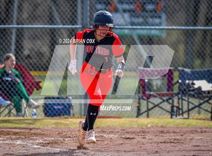 Thumbnail 1 in Green Forest vs Jasper (Big Cat Classic) photogallery.