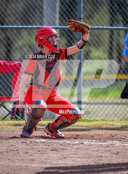 Thumbnail 3 in Green Forest vs Jasper (Big Cat Classic) photogallery.