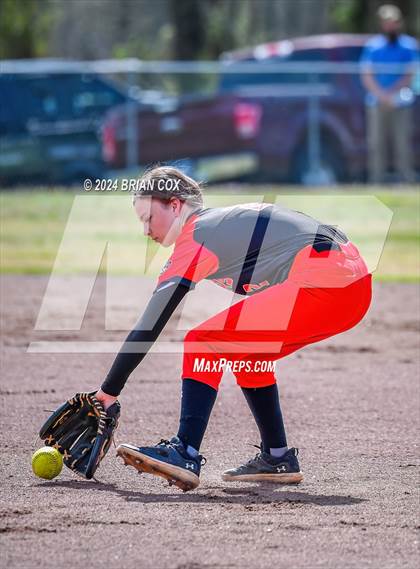 Thumbnail 1 in Green Forest vs Jasper (Big Cat Classic) photogallery.