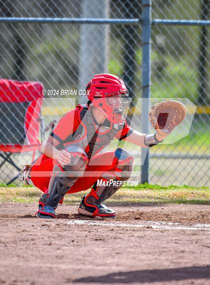 Thumbnail 1 in Green Forest vs Jasper (Big Cat Classic) photogallery.