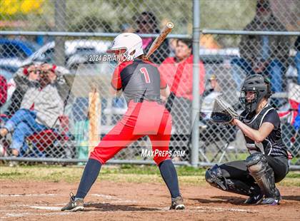 Thumbnail 1 in Green Forest vs Jasper (Big Cat Classic) photogallery.