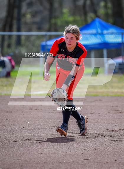 Thumbnail 3 in Green Forest vs Jasper (Big Cat Classic) photogallery.