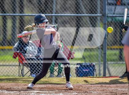 Thumbnail 1 in Green Forest vs Jasper (Big Cat Classic) photogallery.