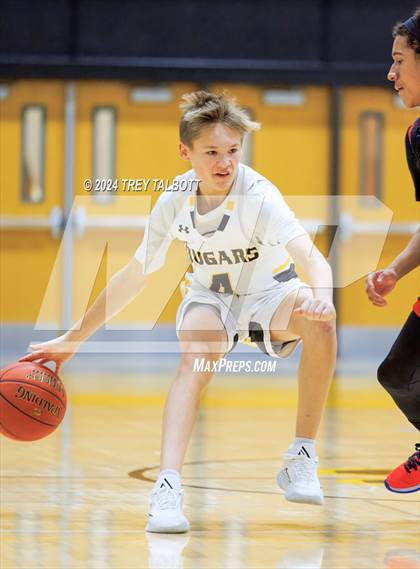 Thumbnail 1 in Vertus @ Honeoye Falls-Lima photogallery.