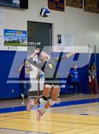 Photo from the gallery "Amador Valley @ Foothill"