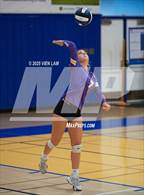 Photo from the gallery "Amador Valley @ Foothill"