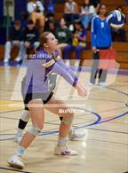 Photo from the gallery "Amador Valley @ Foothill"