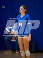 Photo from the gallery "Amador Valley @ Foothill"