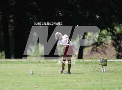 Thumbnail 1 in Pulaski County Girls Invitational  photogallery.