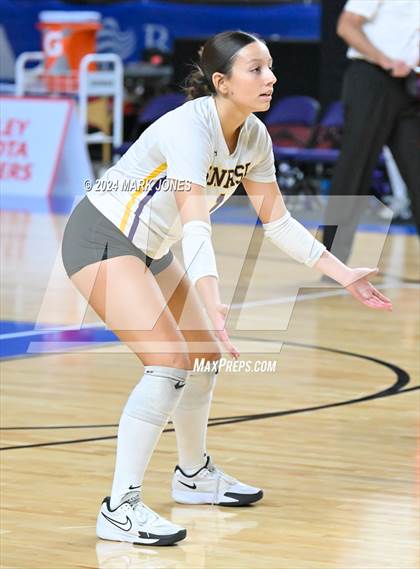 Thumbnail 3 in Sunrise Mountain vs. Horizon (AIA 5A Final) photogallery.