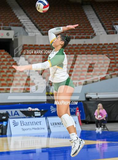 null - Photo 01