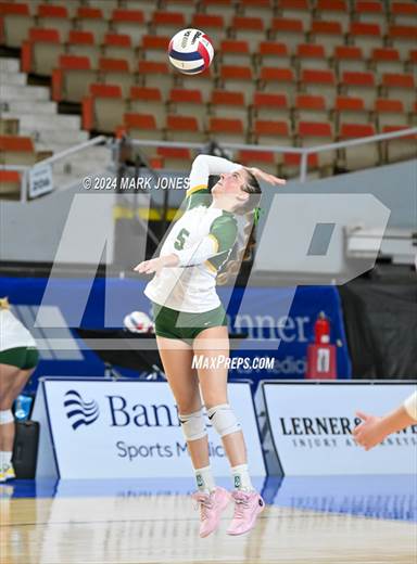null - Photo 01