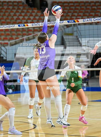 Thumbnail 2 in Sunrise Mountain vs. Horizon (AIA 5A Final) photogallery.
