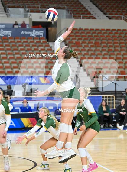Thumbnail 2 in Sunrise Mountain vs. Horizon (AIA 5A Final) photogallery.