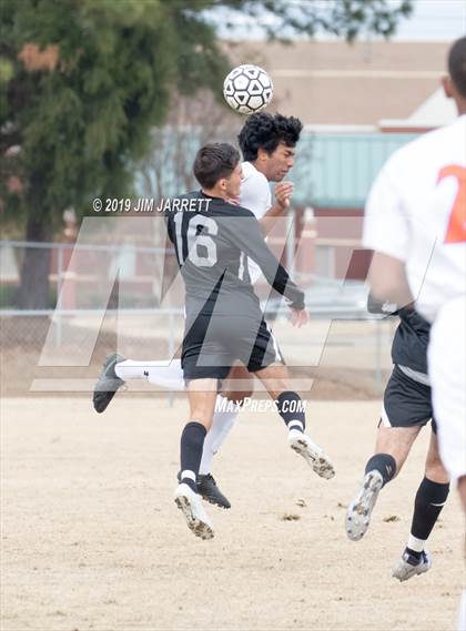 Thumbnail 3 in Madison Central @ Hernando photogallery.