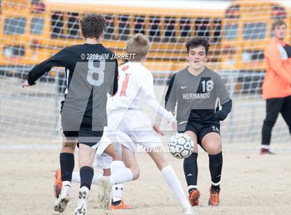 Thumbnail 2 in Madison Central @ Hernando photogallery.