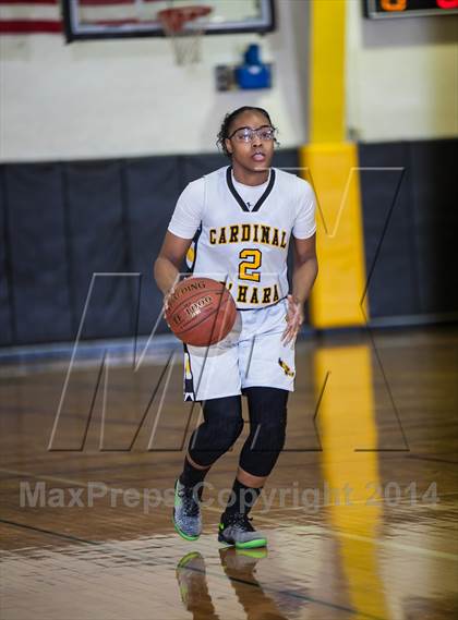 Thumbnail 2 in Penfield @ Cardinal O'Hara photogallery.