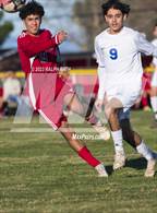 Photo from the gallery "Orland @ Corning"