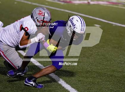 Thumbnail 3 in Pike @ Ben Davis photogallery.