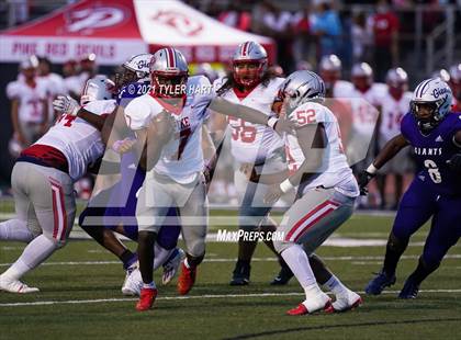 Thumbnail 1 in Pike @ Ben Davis photogallery.