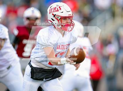 Thumbnail 1 in Maplesville vs. Wadley (AHSAA 1A Final) photogallery.
