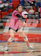Photo from the gallery "Analy @ Rancho Cotate"