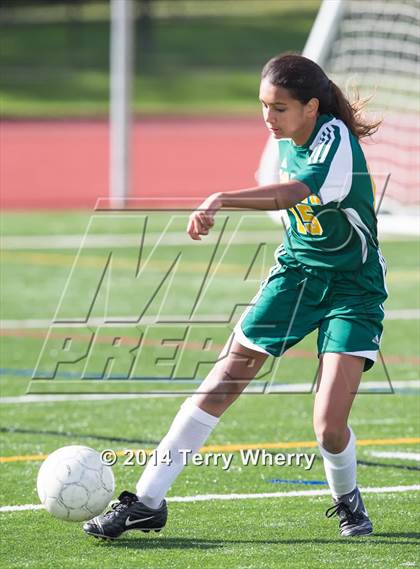 Thumbnail 2 in Williamsville North @ Orchard Park  photogallery.