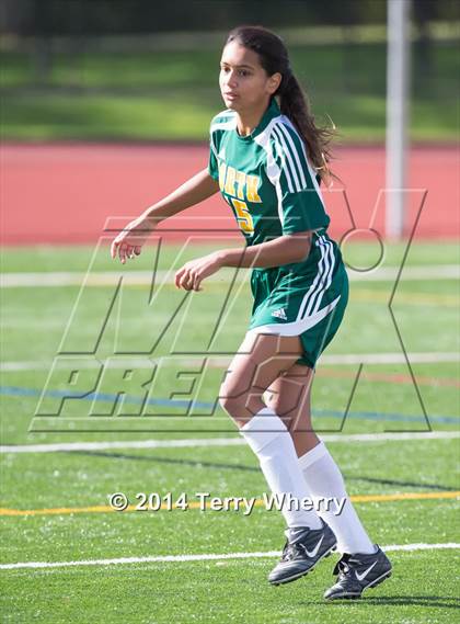 Thumbnail 1 in Williamsville North @ Orchard Park  photogallery.