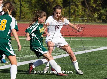 Thumbnail 2 in Williamsville North @ Orchard Park  photogallery.
