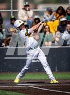 Photo from the gallery "Falcon @ Pueblo County (CHSAA 4A Round 1)"