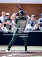 Photo from the gallery "Falcon @ Pueblo County (CHSAA 4A Round 1)"