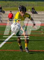 Photo from the gallery "Tamalpais @ San Marin"