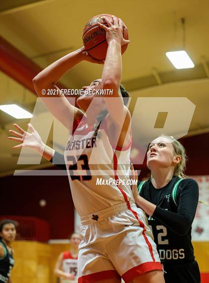 Thumbnail 1 in Tioga @ Muenster photogallery.