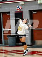 Photo from the gallery "Kennedy @ Laguna Creek"