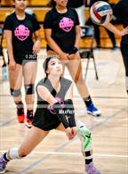Photo from the gallery "Kennedy @ Laguna Creek"