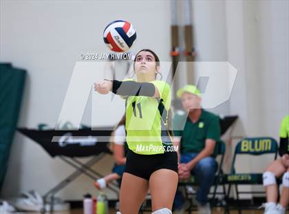Thumbnail 1 in Glen Rose JV @ Blum JV photogallery.