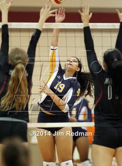 Thumbnail 3 in Stony Point @ Rouse photogallery.