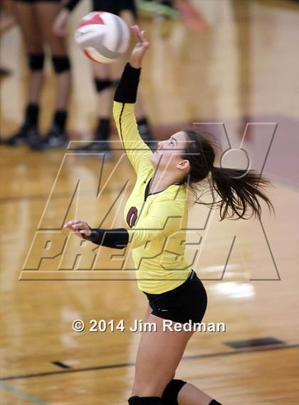 Thumbnail 3 in Stony Point @ Rouse photogallery.