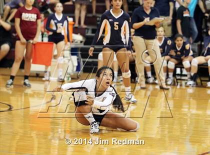 Thumbnail 2 in Stony Point @ Rouse photogallery.