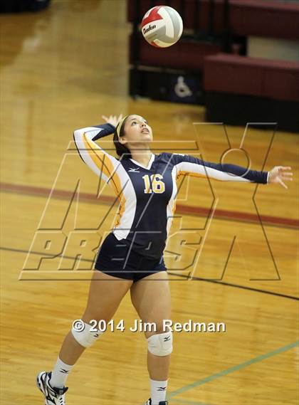 Thumbnail 2 in Stony Point @ Rouse photogallery.