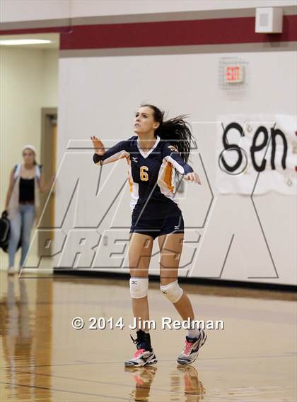 Thumbnail 3 in Stony Point @ Rouse photogallery.